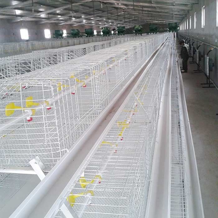 กรงไก่เนื้อสีเงินสีขาวทนอุณหภูมิสูงด้วยระบบให้อาหาร / EC