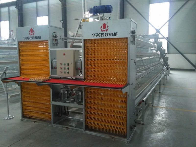 Henan Huaxing Poultry Equipments Co.,Ltd. สายการผลิตของโรงงาน