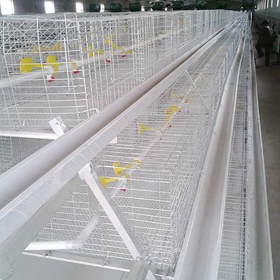 กรงไก่ลวดชุบสังกะสี 0.75kw อุปกรณ์การเลี้ยงสัตว์ปีกอัตโนมัติ
