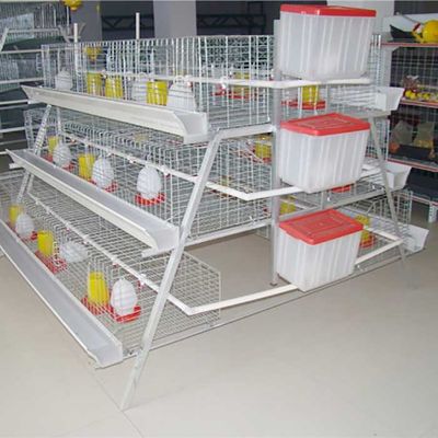 อุปกรณ์เลี้ยงสัตว์ปีกประเภทกรงไก่ชนิด 198 นก