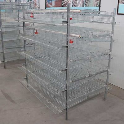 กรงนกกระทา 6 ชั้น 380V / 220V ทนทานสำหรับอุตสาหกรรมการเลี้ยงนกกระทารุ่น HXQC5