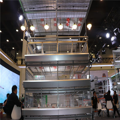 H Type 4 Tiers Automatic Baby Chick Cage อุปกรณ์ฟาร์มสัตว์ปีก