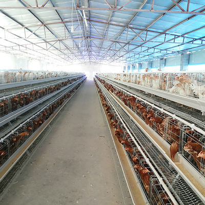 ประเภทกรงแบตเตอรี่ระบบชั้นไก่ไก่ชั้นกรงสำหรับขาย