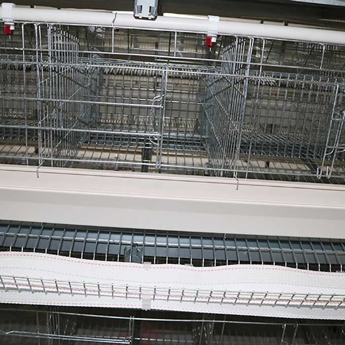 ระบบกรงไก่ไข่ชนิด A ทนทานด้วยการควบคุมมาตรฐาน IS9001