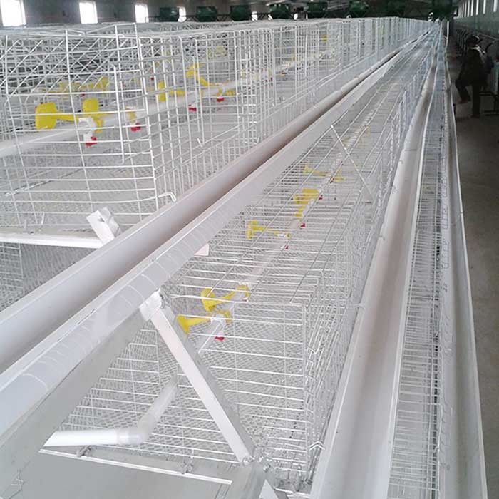 กรงไก่ลวดชุบสังกะสี 0.75kw อุปกรณ์การเลี้ยงสัตว์ปีกอัตโนมัติ
