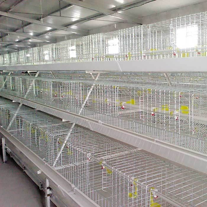 กรงไก่เนื้อสีเงินสีขาวทนอุณหภูมิสูงด้วยระบบให้อาหาร / EC
