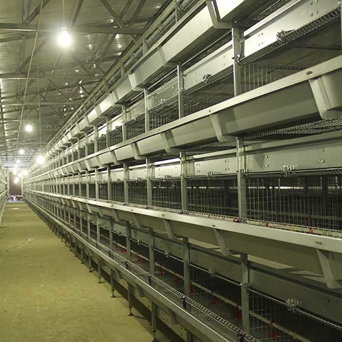 กรงไก่ Brooder เจี๊ยบ 195 * 50 * 35CM ประสิทธิภาพสูงกรงเลี้ยงชั้น