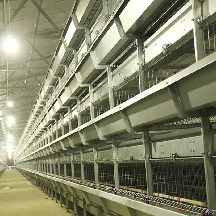 กรงลูกไก่ที่มีประสิทธิภาพสูงความจุขนาดใหญ่ทำความสะอาดง่ายได้รับการรับรองมาตรฐาน ISO9001