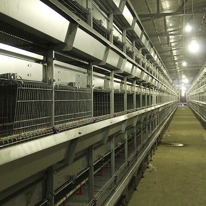 กรงไก่ Brooder เจี๊ยบ 195 * 50 * 35CM ประสิทธิภาพสูงกรงเลี้ยงชั้น