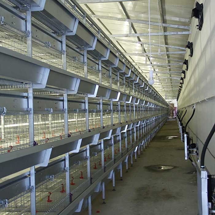 กรงไก่ Brooder เจี๊ยบ 195 * 50 * 35CM ประสิทธิภาพสูงกรงเลี้ยงชั้น