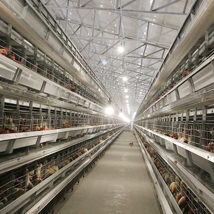 อุปกรณ์ฟาร์มสัตว์ปีกแบบวางอัตโนมัติ H Type 4Tier 192 Birds Layer Battery Chicken Cage สำหรับตลาดแอฟริกา