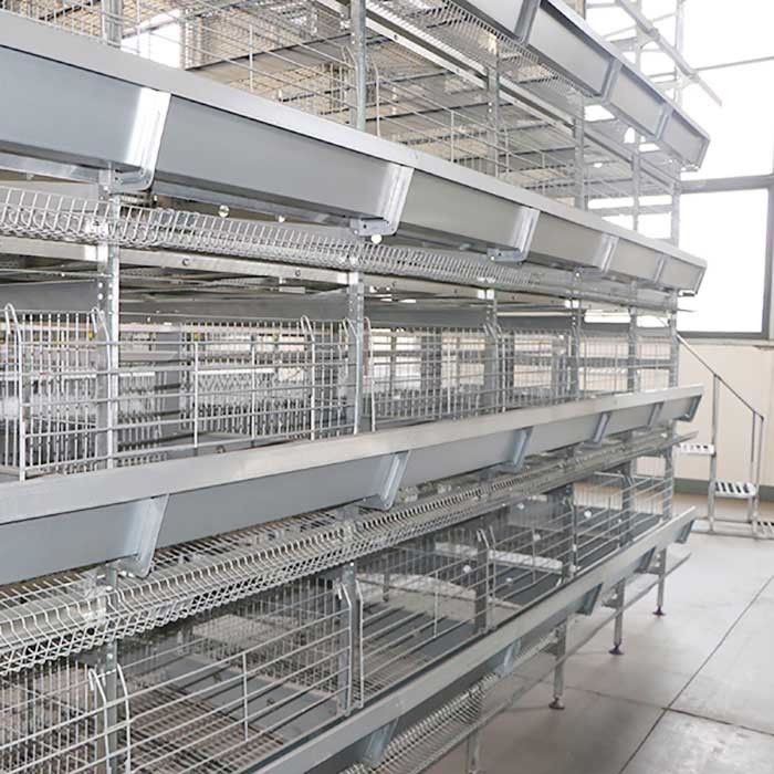 Less Disability H Type Layer Cage อุปกรณ์เลี้ยงสัตว์ปีกสำหรับไก่