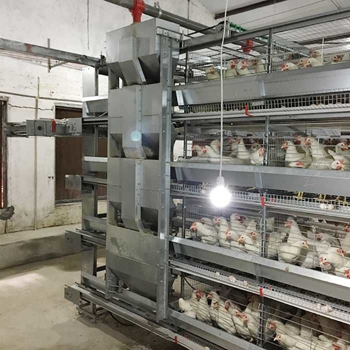 120 * 60 * 70 เซนติเมตรสัตว์ปีกกรงไก่การควบคุมอัตโนมัติประหยัดแรงงานเป็นมิตรกับสิ่งแวดล้อม