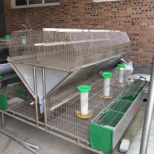 50~80 Babies Farm Rabbit Cage กรงสำหรับเพาะพันธุ์กระต่ายเพื่อการพาณิชย์