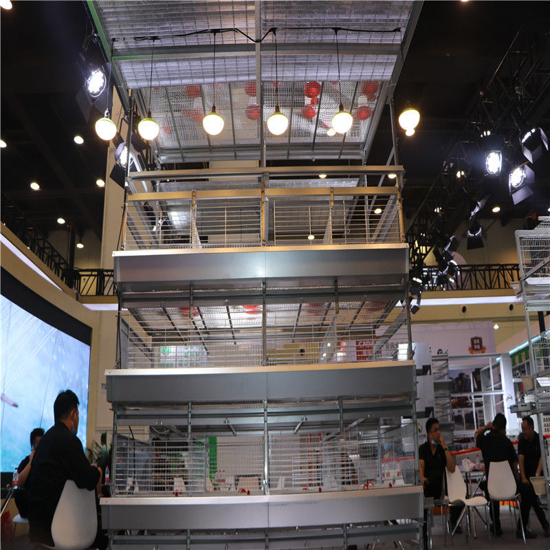 H Type 4 Tiers Automatic Baby Chick Cage อุปกรณ์ฟาร์มสัตว์ปีก