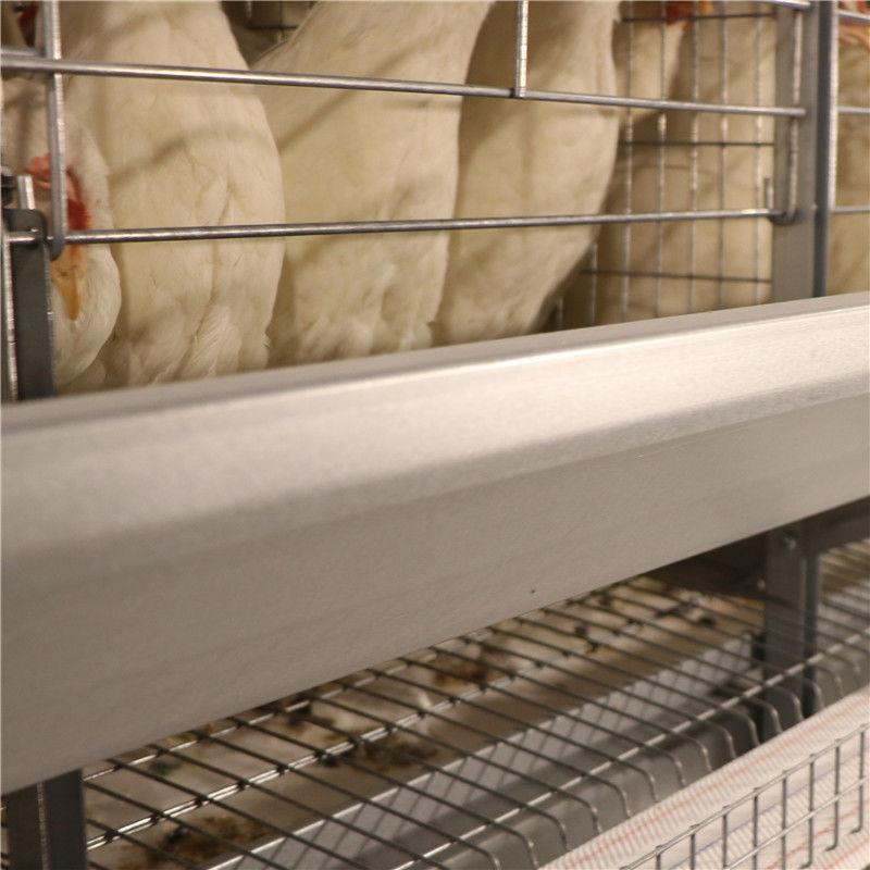 H ประเภท 4 ชั้น 5 ชั้นกรงไก่สำหรับการเลี้ยงสัตว์ปีกหลายชั้น